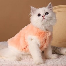 Fuzzy Cat Vest for Winter   Warm Fluffy Kitten Outing Clothes, Cozy Pet Sweater
