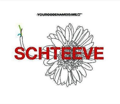 Yourcodenameis milo - Schteeve - Used CD - E11757z