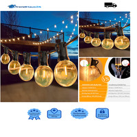 Led Lichterkette 30M G40 AußEnbeleuchtung 60W