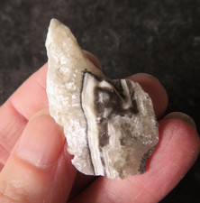 RARE ZEBRA (PHANTOM) CALCITE (4.6 grams / 37 mm) NATURAL (13) 'TRANSFORMATION'