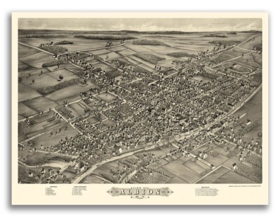Bird's Eye View 1880 Albion New York Vintage City Map - 20x28
