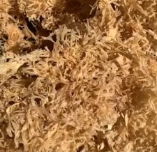 Dr Sebi Wild Sea Moss Wild Chondrus Crispus Carrageen Whole Leaf Organic 4 Oz