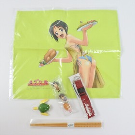LOVE HINA Smile Again Limited Edition Dreamcast Sega 8202 dc