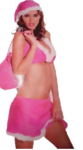 ann summers fancy dress ebay