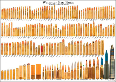 Cartridges Bullets Comparison Chart Print | eBay