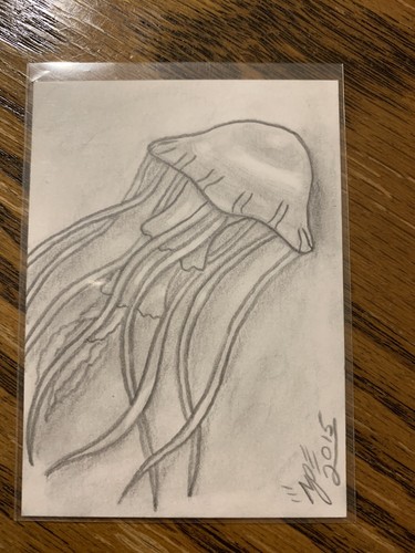 Jellyfish Original ACEO  Art Card Pencil Drawing Signed in Top Loader