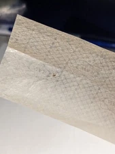 Fly Trapped In A Raw Rolling Paper
