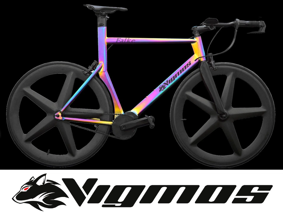 Pinion Time Triathlon Bike Aero Zeitfahrrad Velo Titan titanium bike ironman Rot