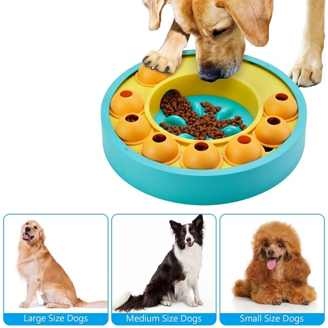 Food Puzzle and Long-Lasting Chew