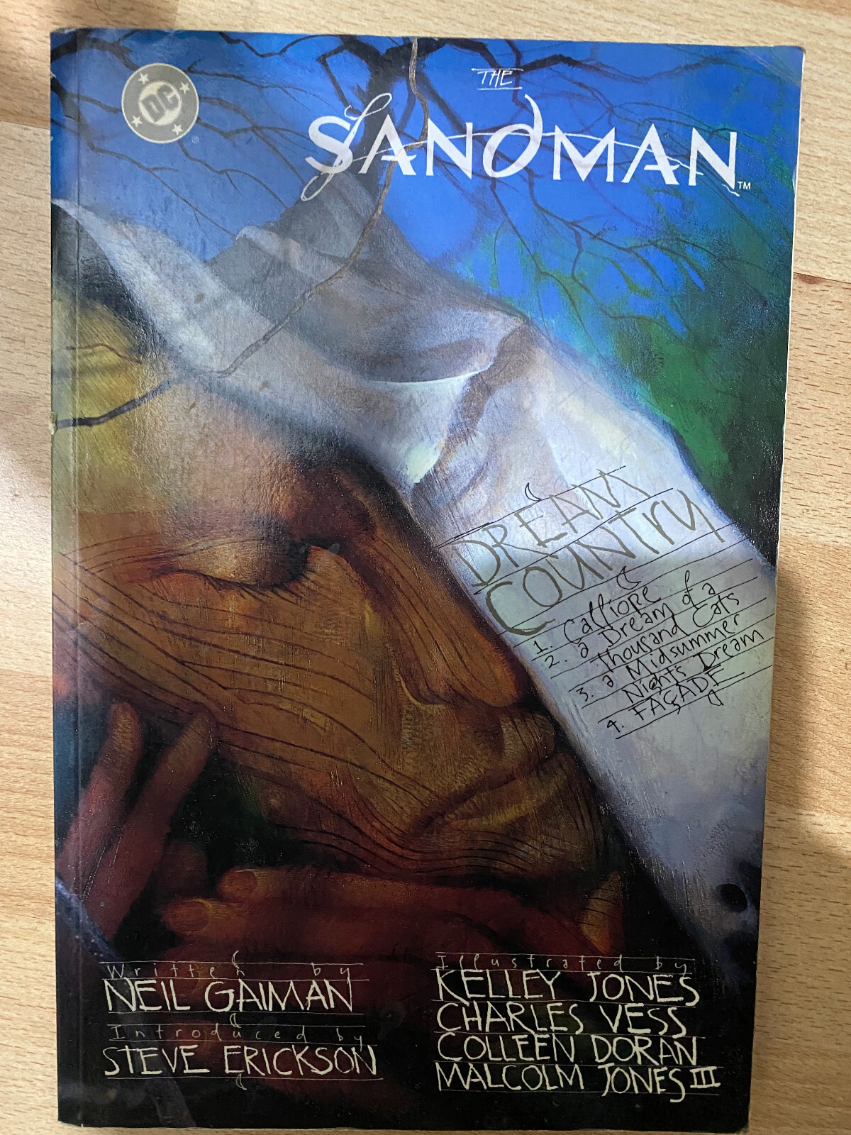 Sandman Dream Country paperback Vertigo Comics TPB Graphic Novel Neil Gaiman