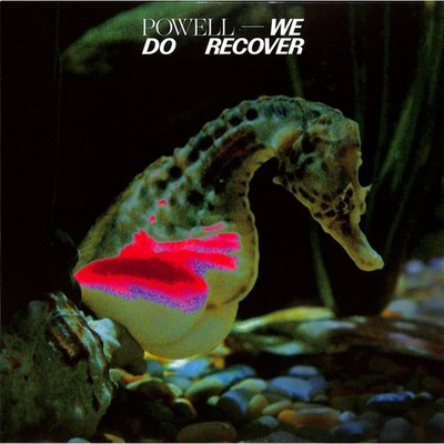 Powell / WE DO RECOVER (2LP, CLEAR VINYL) / Diagonal Records / DIAG070 / col2x1