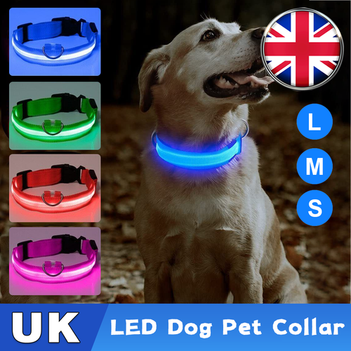 USB Rechargeable LED Pet Dog Collar Flashing Luminous Safety Light Up
