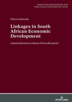 Oliver Schwank | Linkages In South African Economic Development | Buch (2010)
