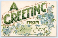 Deer Creek, Illinois IL Tazewell County Greetings From c1910 Floral Postcard