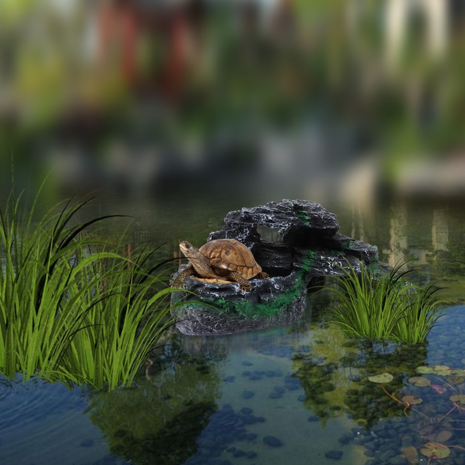 Gallery image with a fresh perspective