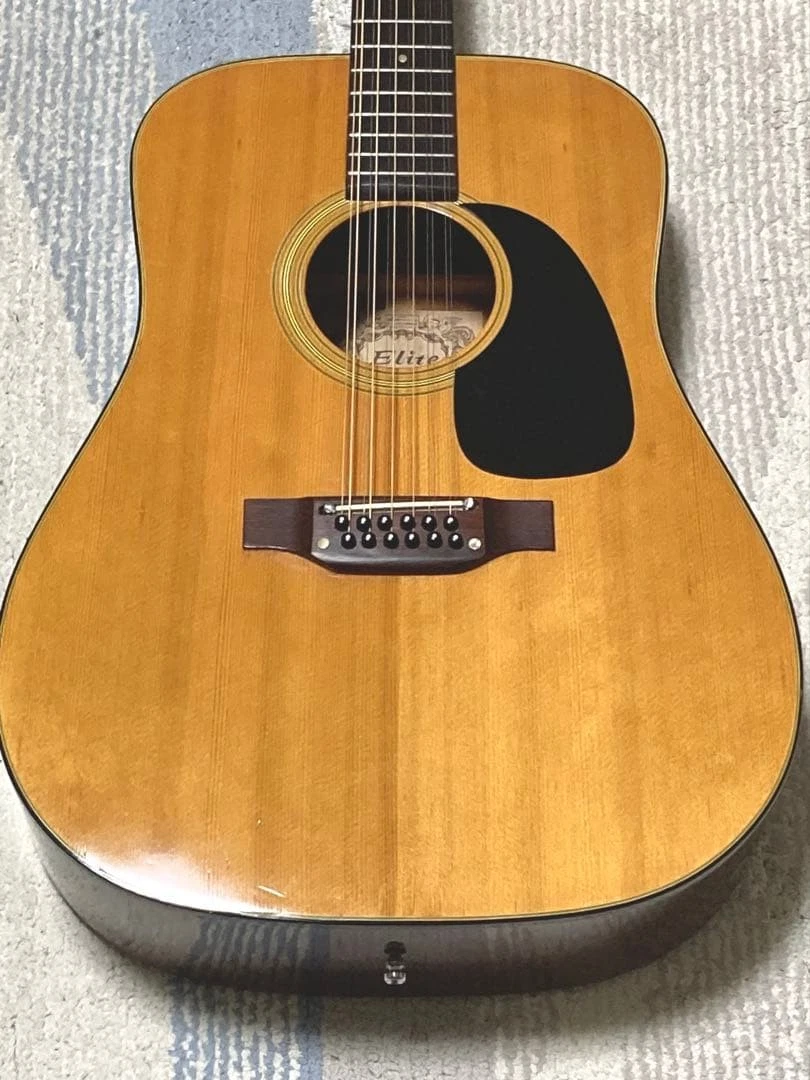 Takamine 12 String Acoustic Guitars for sale | eBay