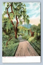 Mission Drive Santa Barbara California CA UNP UDB Postcard P13