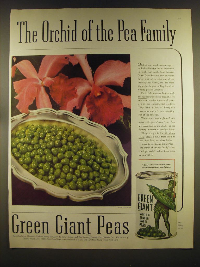 1939 Green Giant Peas Ad The Orchid of the Pea family eBay