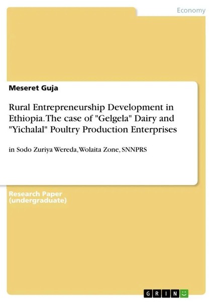 Meseret Guja | Rural Entrepreneurship Development In Ethiopia. The Case Of...-image
