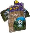 Decorative Halloween Mousse Moss Bulk Bags | Craft Supplies Decor — photo 1