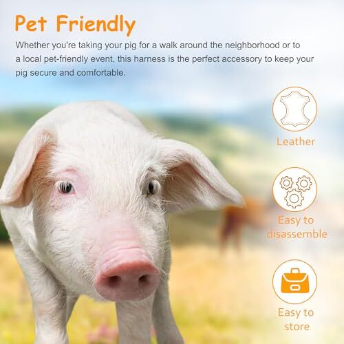 Mini Pig Harness & Leather, Pet Pig Supplies, Adjustable Rope (9 inches