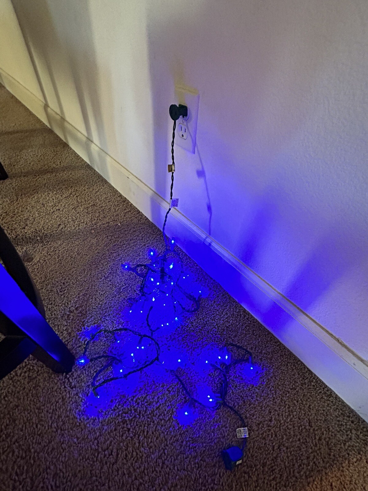 Christmas Lights blue LED Incandescent Lights 50 Pc eBay