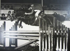 Vintage Equestrian Horse Jumping Photo 14" English Show Riding Young Man 1950's