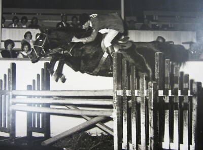Vintage Equestrian Horse Jumping Photo 14'' English Show Riding Young Man 1950's