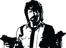 Chuck Norris VINYL DECAL STICKER actor walker texas ranger delta force