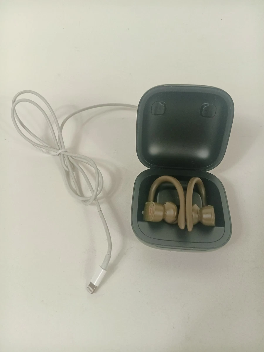 Beats by Dr. Dre Powerbeats Pro Green Headphones for sale - eBay
