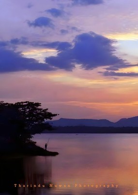 Digital Photo Picture Wallpaper Desktop Background Evening Photography Srilanka