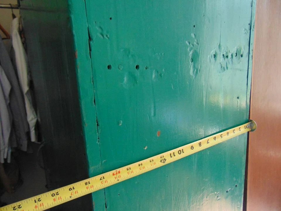 Antiguo armario alto rústico de madera recuperada GRAN cabaña antigua granero único sistema operativo Foto 3 de 4