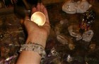Foto 8 di 8