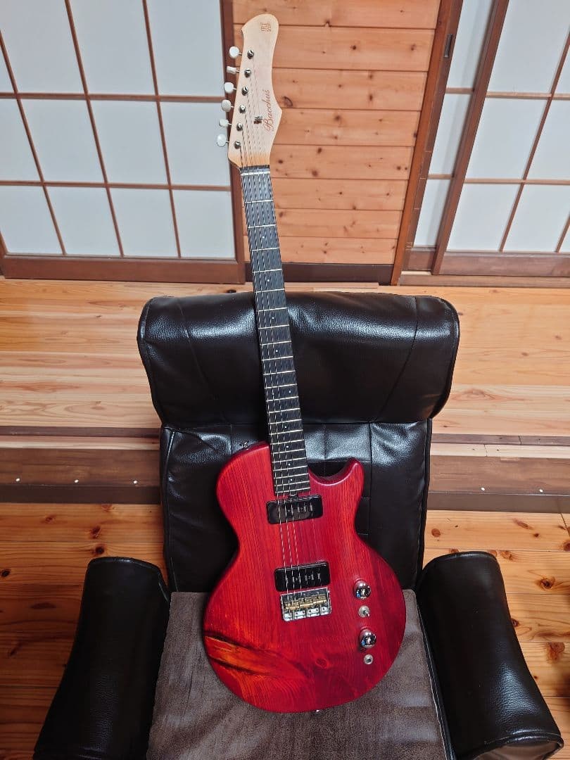 ギター Deviser Bacchus Parrot 2 s-l1200.jpg