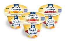 Golden Acre Pasteurised Thick & Creamy Fruit Yogurt 20 x 125g