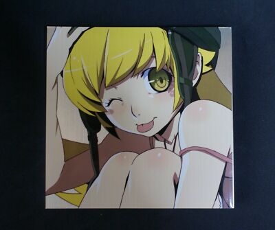 Bakemonogatari Key Animation Note Prologue Japan Anime art book