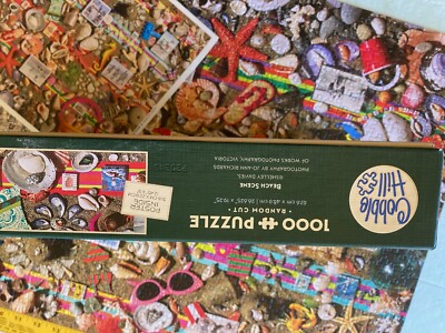 Cobble Hill Puzzle 1000 Pezzi Scena Da Spiaggia - Poster Incluso - Fatto In USA Con Carta Di Lino - 5