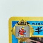 Foto 6 di 24