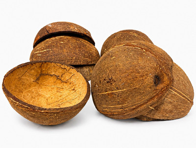 Set of (9) Natural Coconut Shell Halves Smooth Art Crafts Pet Tank