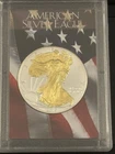 2015 American Silver Eagle 0.999 Fine 24K Gold Gilded on both sides