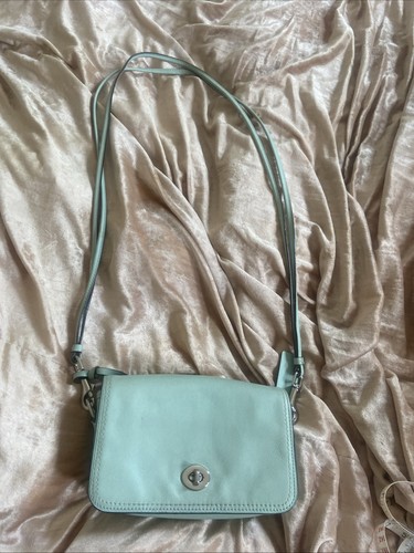 Coach Dinky Mint Green