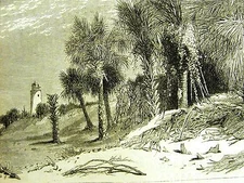 St. John's River LIGHTHOUSE 1870 Antique Engraving Art Print Matted