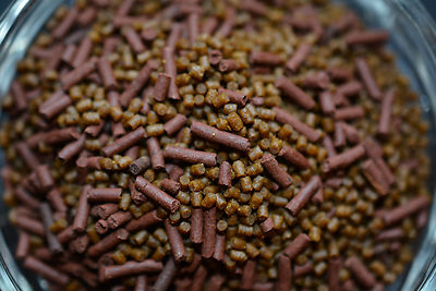 MINI BEEFHEART & KRILL MIX,Beef Heart,Discus Food,Angels Fish,HEAT SEALED,ABF9