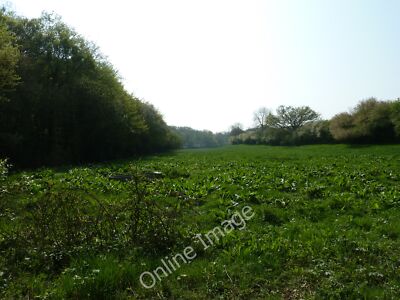 Foto 12x8 langer schmaler Weidestreifen Rudgwick wohl geholfen vom St c2011