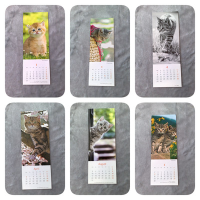 6x Lesezeichen Katzen (2)