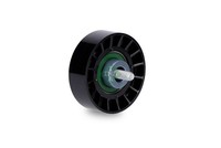 Schaeffler INA Spannrolle Fiat Ducato Iveco Daily PEU Boxer Citroen Jumper