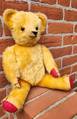Vintage Antique German Mohair Golden Teddy Bear 16" Clean Nice
