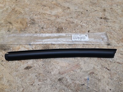 BMW Z3 Roadster Abdichtung Verdeck Fensterführung hinten rechts  