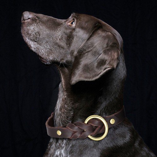 Braided Leather Pet Dog Collar Heavy Duty Adjustable for Medium Large Dogs Black - Picture 14 of 16