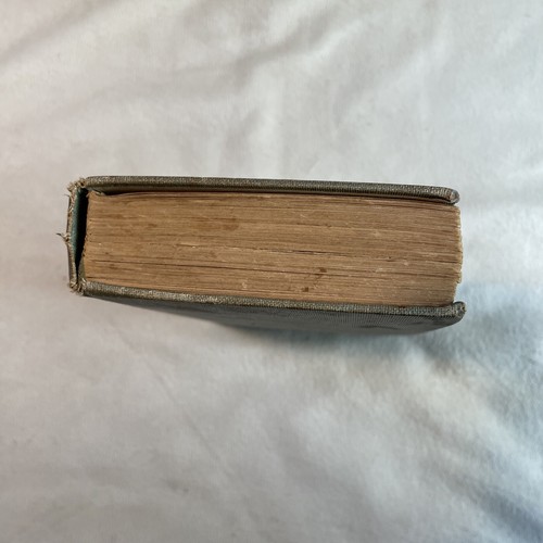 Antike schwarze Schönheit seine Bräutigame und Gefährten von A. Sewell - vorwärts von 1908 - Bild 5 von 17
